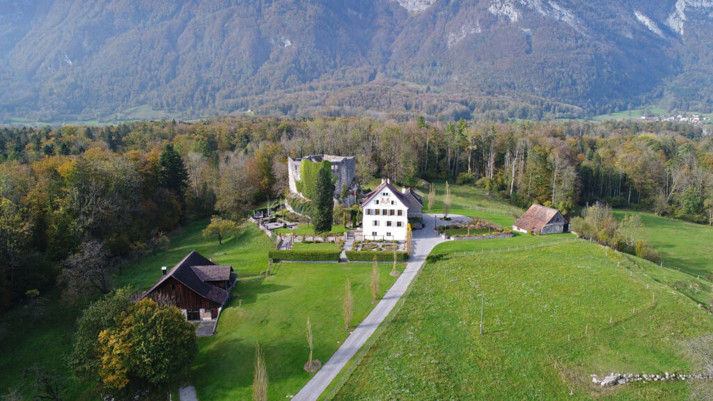 032 Umbau Schloss Forstegg Schreiber Architekten AG